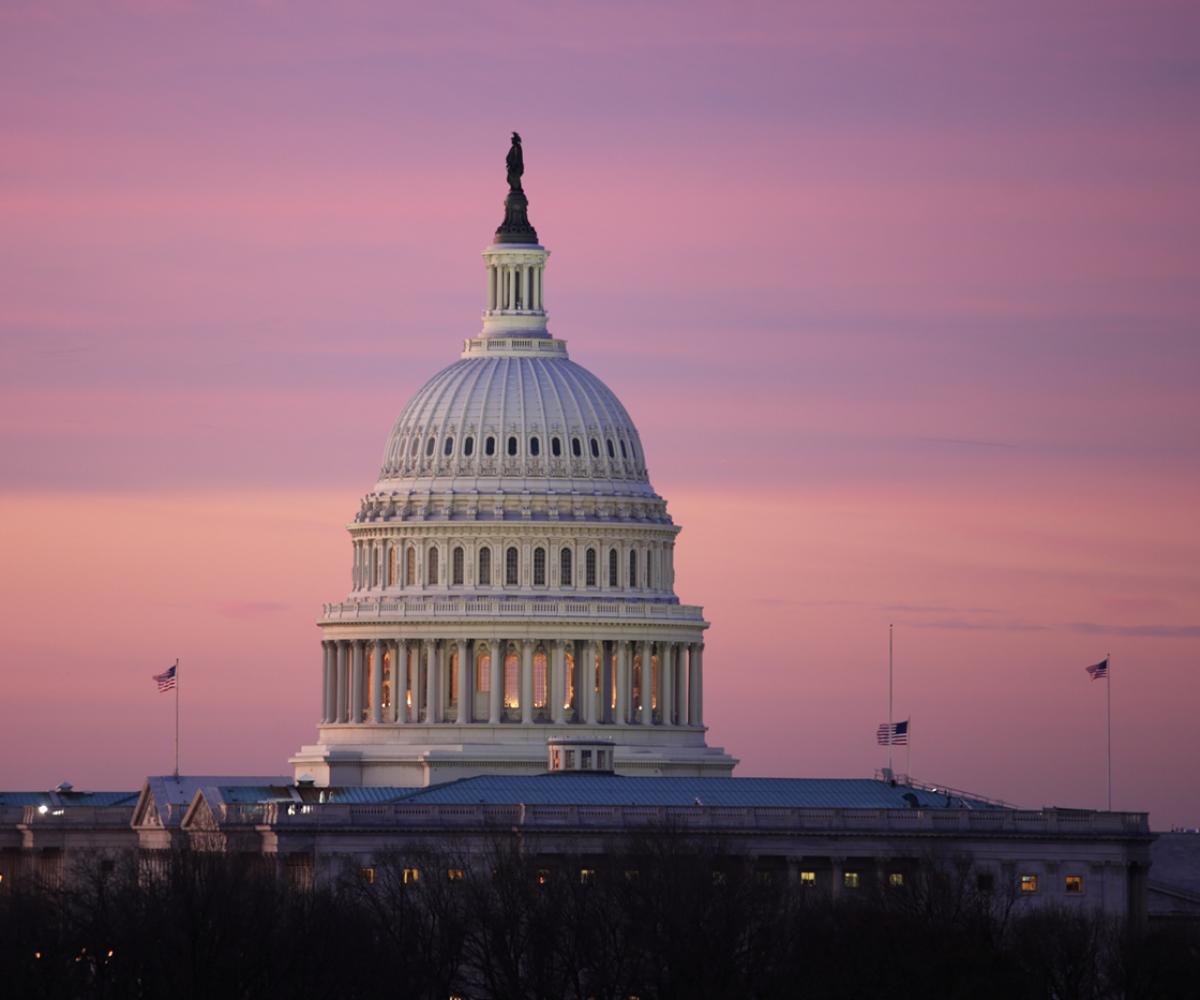 The United States capitol dome at dawn