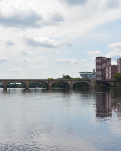 Bridge in Rep Larson District